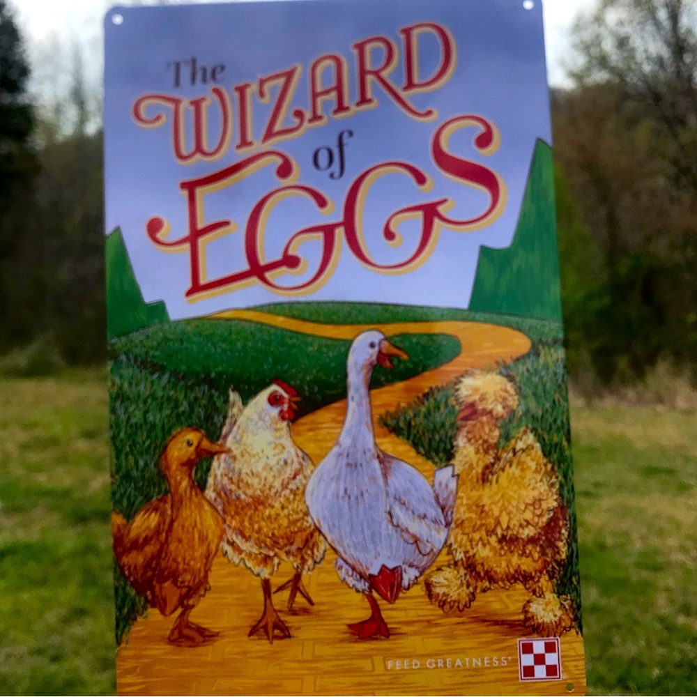 The Wizard of Eggs Outdoor Sign